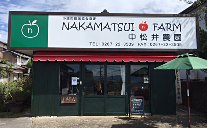 中松井農園のサンふじ　約10kg 長野 小諸 信州 リンゴ 林檎