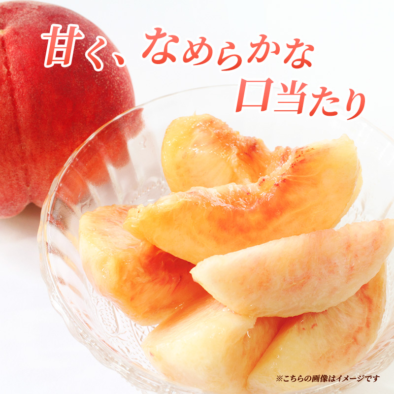 先行予約 2026年発送 浅間水蜜桃 もも なつっこ 秀品 約5kg ふるさと納税 長野県産 小諸市 桃 果物 もも フルーツ モモ 果肉