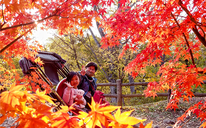 《小諸城址懐古園を人力車で周ろう♪》人力車で30分間周遊プラン