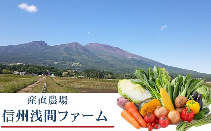 さつまいも 約10kg 食べ比べ