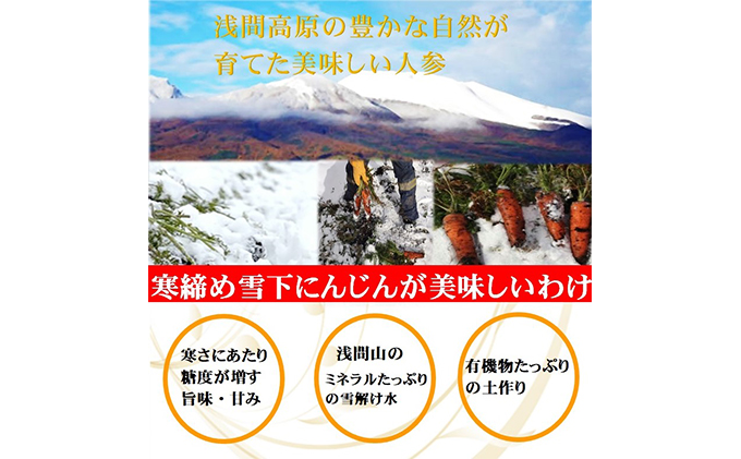 小諸産 雪下にんじん（土つき）約10kg