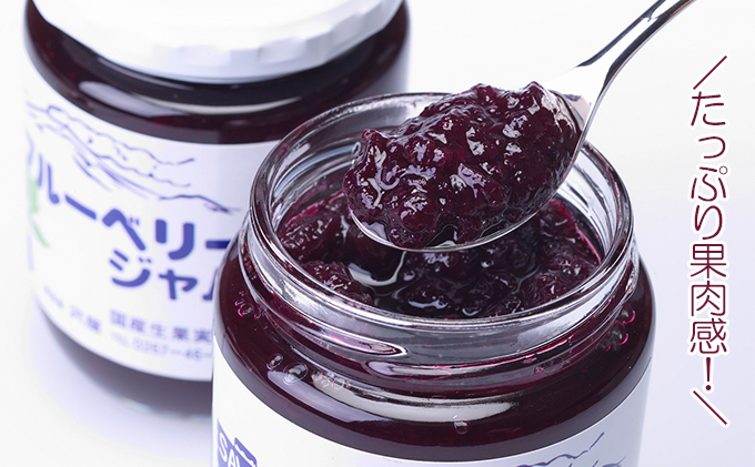 信州小諸産ブルーベリージャム125g×5本セット