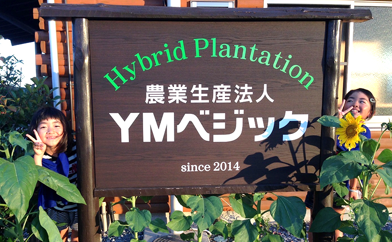 完熟ミニトマトジュース 1,000ml×2本 果汁飲料 野菜飲料 ジュース 美味しい 苦手 子供 飲める 癖 すっきり 栄養 健康 セット