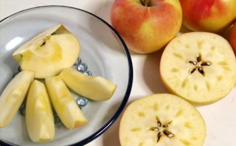 福井りんご園の名月　秀約５ｋｇ