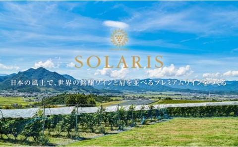 ソラリス トップレンジセット ワインセット ワイン 赤ワイン 白ワイン シャルドネ メルロー 果実味 酸味 トースト香 スパイス 果実味 タンニン