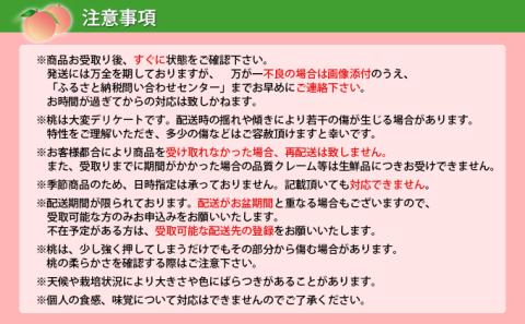 浅間水蜜桃 みつおかのもも なつっこ  秀品 約5kg 長野県産