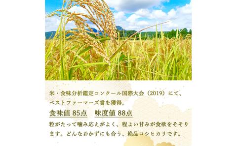 【12ヵ月定期便】ベストファーマーズ賞受賞　コシヒカリ【無洗米】2kg