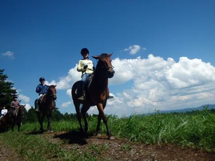 まきば軽井沢　ほっこり50分乗馬体験  1名様