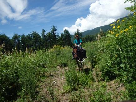 まきば軽井沢　まったり100分乗馬体験  1名様