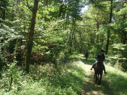 まきば軽井沢  どーんと150分乗馬体験  1名様