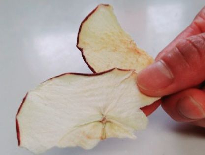 ペットの信州産りんごのドライサラダ5袋セット 犬 猫 動物 餌 おやつ 美味しい ご褒美 簡単 手作り ごはん ペットフード 食物繊維