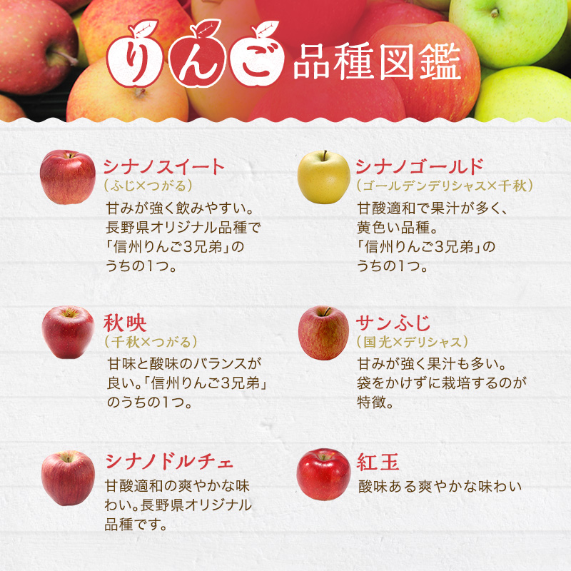 信州産りんご６品種のジュース詰合せ