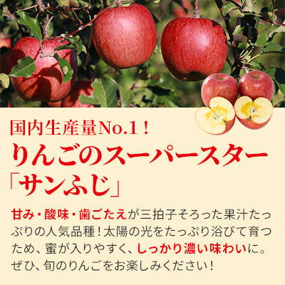 信州小諸産 サンふじりんご 秀品 約5kg 長野県産 果物類 林檎 りんご 