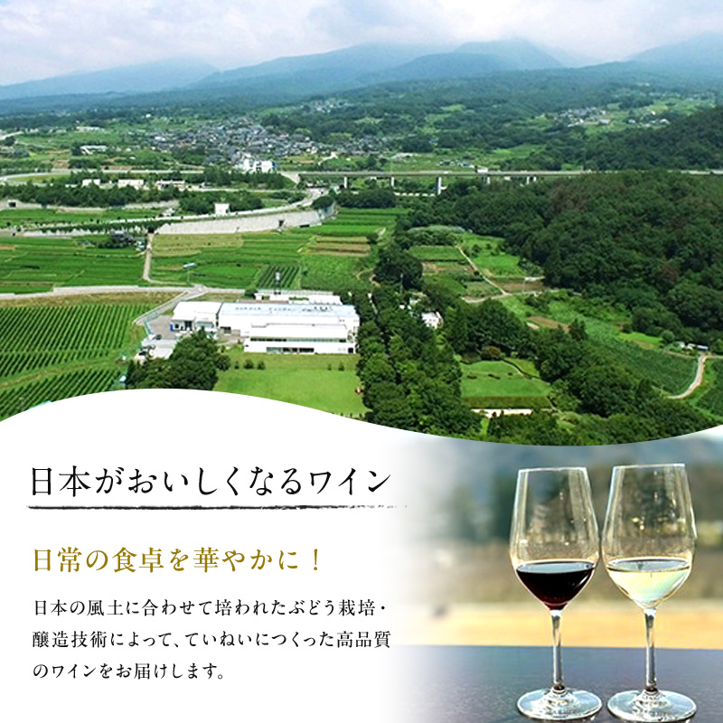 ソラリス 千曲川 メルロー 750ml×6本