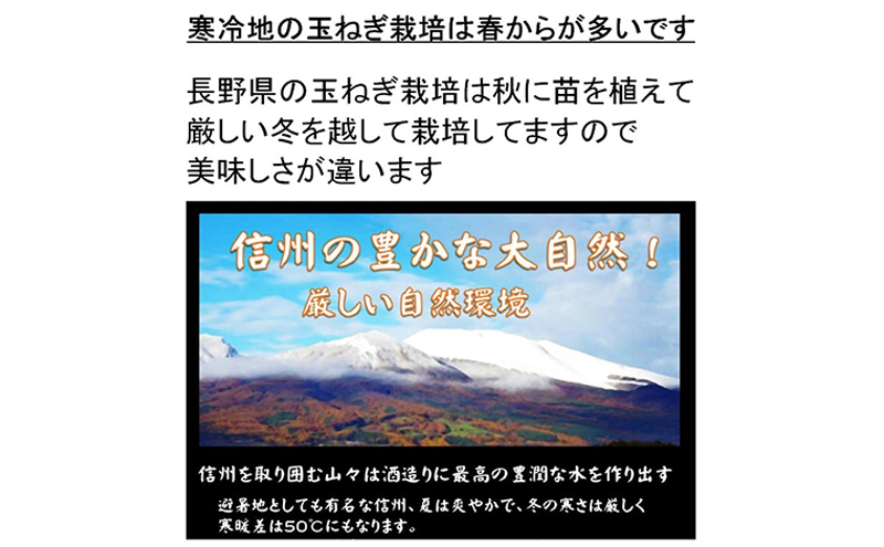 小諸産減農薬栽培・玉ねぎ約5kg