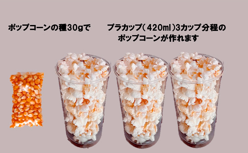 レンジで作れるポップコーン　9袋入り　ポップコーン　種　簡単　手作り　おやつ　食育