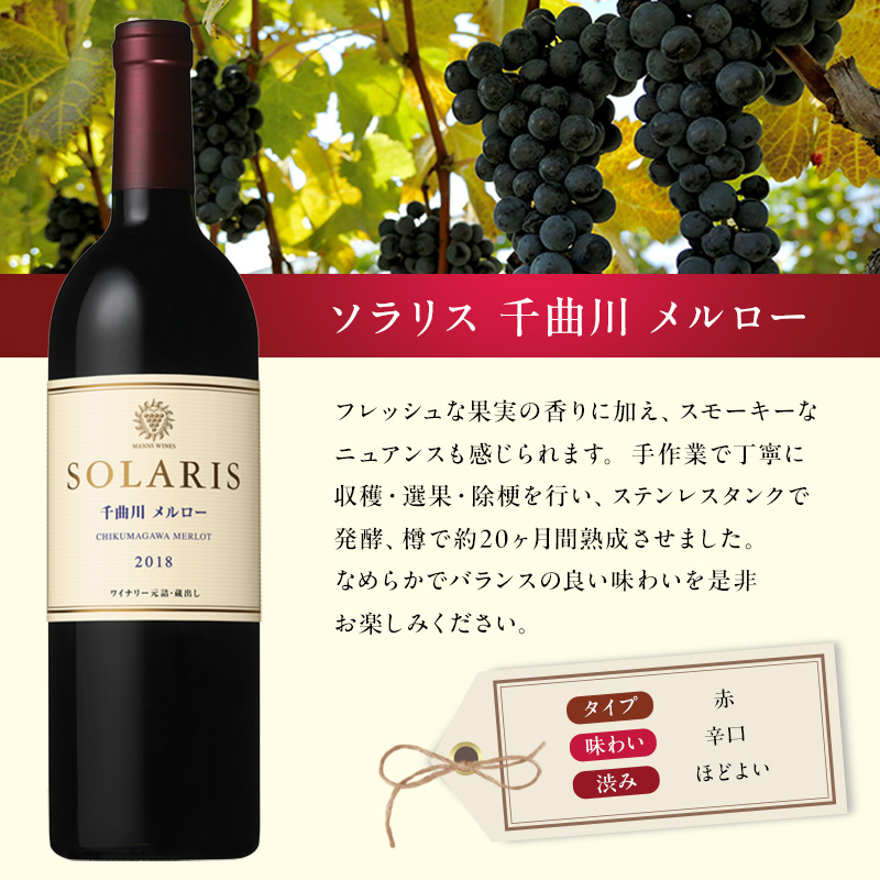 ワイン 信州ワイン 赤 ソラリス 千曲川 メルロー 750ml×6本 