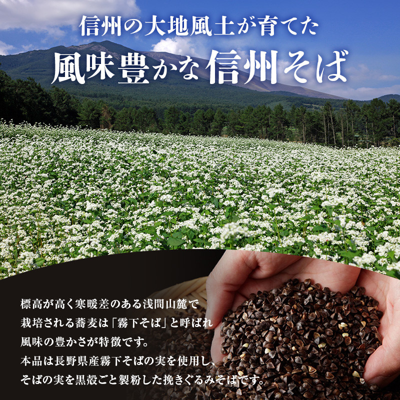 信州そば 半生麺 12人前 (そばつゆ付き) 長野 蕎麦 ソバ 半生