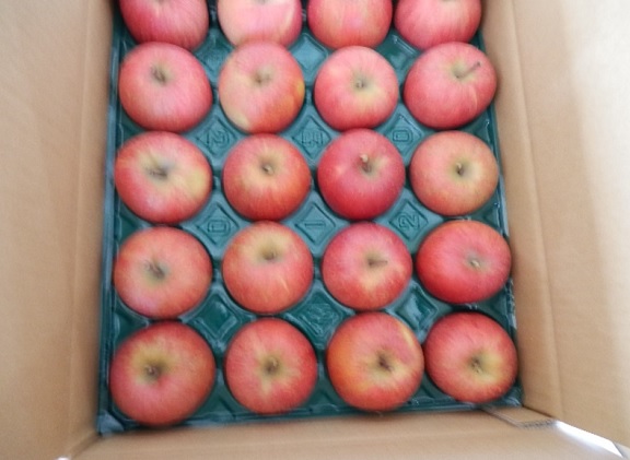 大森園のりんご(サンふじ)　特秀品　約5kg