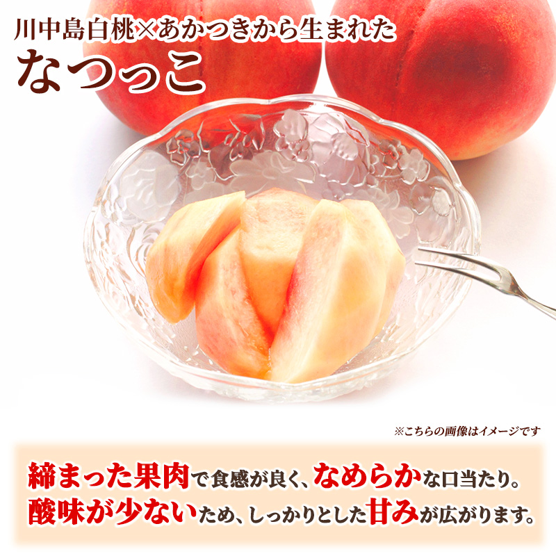 先行予約 2026年発送 浅間水蜜桃 もも なつっこ 秀品 約5kg ふるさと納税 長野県産 小諸市 桃 果物 もも フルーツ モモ 果肉