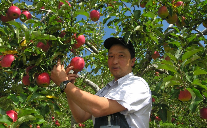 りんごジュース1000ml×2 シナノ2本セット