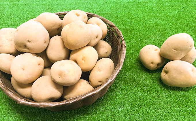 幻のじゃがいも　白土ばれいしょ