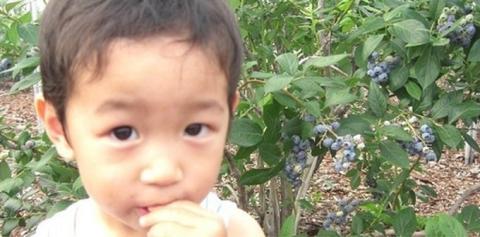 信州小諸産 【生】ブルーベリー500g×2パック