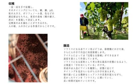 日本ワイン ソラリス 小諸 メルロー 750ml×1本 ワイン 赤ワイン マンズワイン 酒 お酒 洋酒 果実酒 ぶどう酒 長野 長野県小諸市