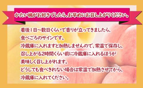 桃 約5kg 3種お任せ あかつき なつっこ 黄金桃 果物 もも 3種類 白桃 黄桃 産地直送 長野県 小諸市