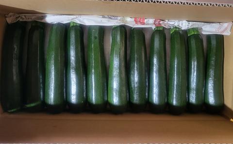 信州高原塩熟野菜 約10kg お任せ