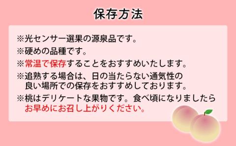 浅間水蜜桃 みつおかのもも なつっこ  秀品 約5kg 長野県産