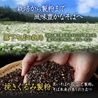 くるみそばセット 12人前（そば乾麺・くるみつゆ付き） 麺類 そば 乾麺 信州そば 長野 蕎麦 ソバ そば茶 こだわり 食材 お取り寄せ ご当地 グルメ 詰め合わせ