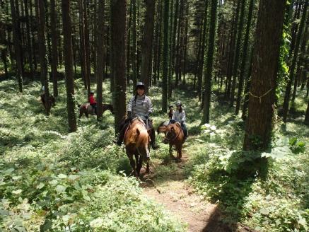 まきば軽井沢　ほっこり50分乗馬体験  1名様