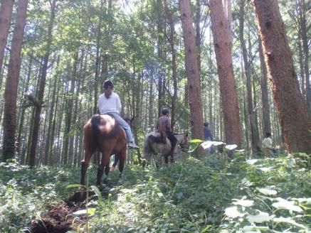 まきば軽井沢　まったり100分乗馬体験  1名様