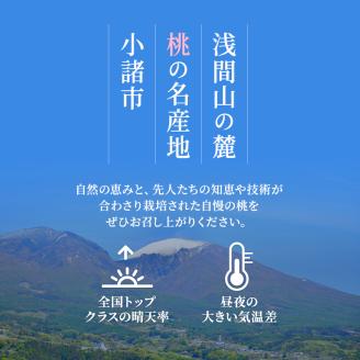 2026年発送 先行予約 「浅間水蜜桃プレミアム」 もも あかつき 秀品 約2kg 5～9玉 ふるさと納税 果物 桃 フルーツ モモ 果肉 長野県産 小諸市