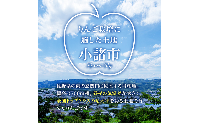 シナノスイート 家庭用 約10kg 長野県産 果物類 林檎 りんご リンゴ フルーツ 小諸市