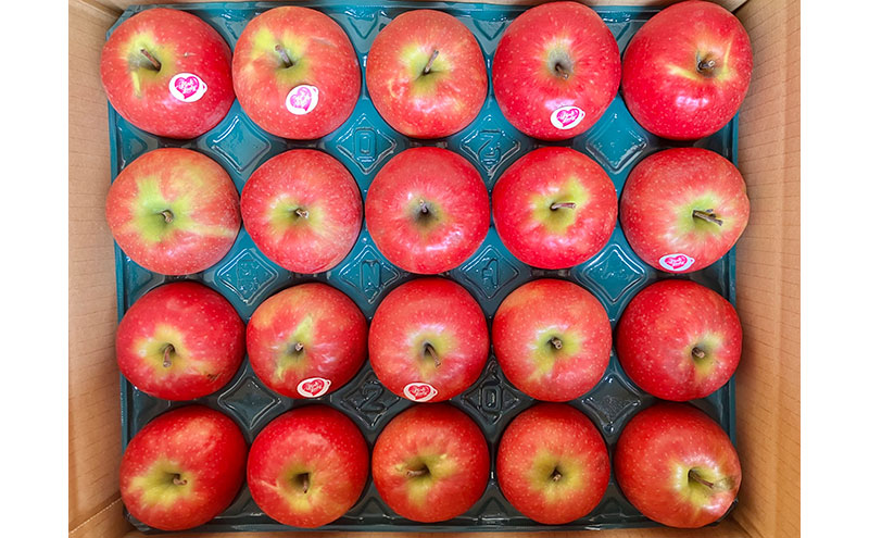 中松井農園 ピンクレディー約5kg 20～25玉 果物 フルーツ りんご 長野県産 信州 信州のリンゴ 酸味 小ぶり 芳醇 風味 クッキングアップル デザート 食後 爽やかな酸味 希少