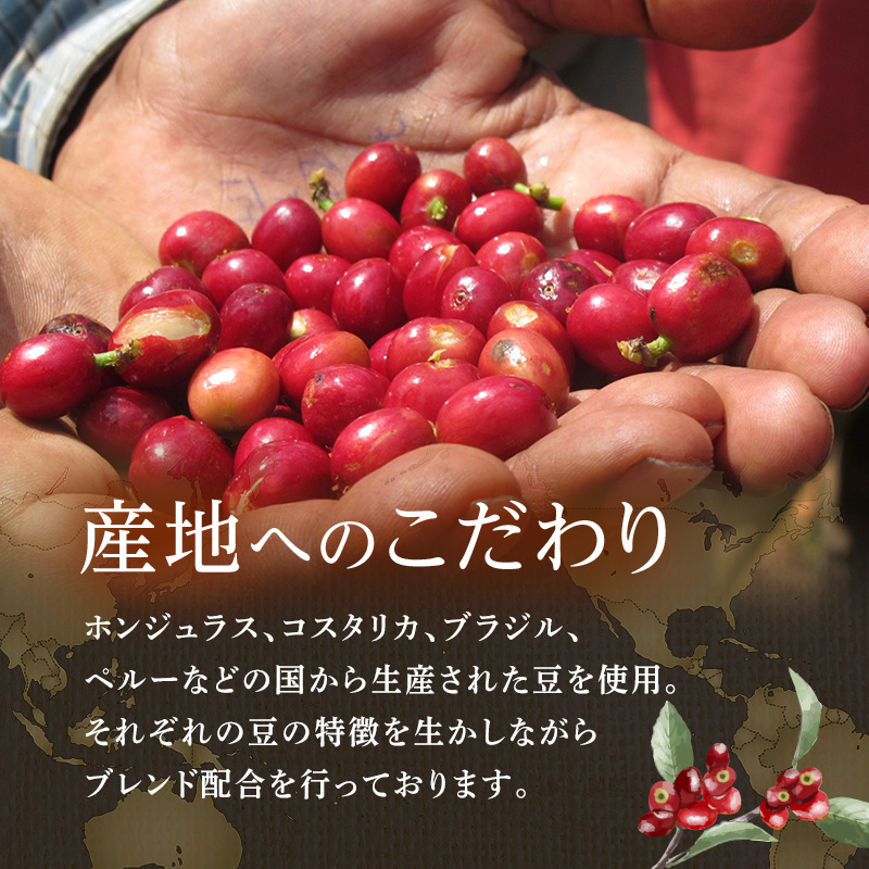 コーヒー 丸山珈琲 コーヒーバッグ 季節のスペシャルブレンド 5個入 飲料 コーヒー粉 ブレンドコーヒー パック 珈琲