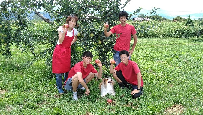 小諸産シードル  家飲み8本セット（DRY・SEMISWEET)