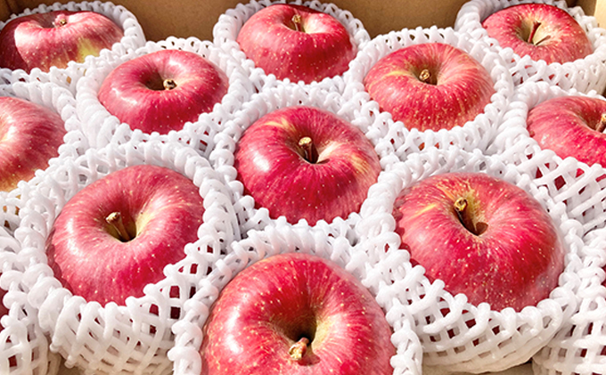 信州シナノスイート 約3kg 松澤農園 果物類 林檎 りんご リンゴ