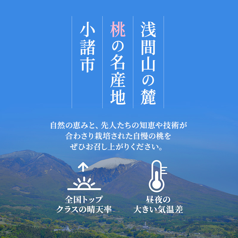 先行予約 2026年発送 浅間水蜜桃 もも なつっこ 秀品 約5kg ふるさと納税 長野県産 小諸市 桃 果物 もも フルーツ モモ 果肉