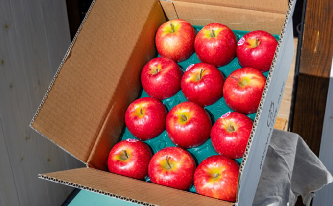 中松井農園 ピンクレディー約3kg 12～15玉