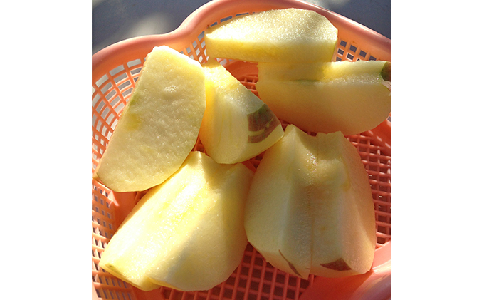 長野県下最大級 りんご狩り体験 りんご狩り発祥園 体験チケット 環境 優しい 安心 安全 こだわり 低農薬 有機肥料 循環型 定番 オリジナル 新品種[№5915-1206]