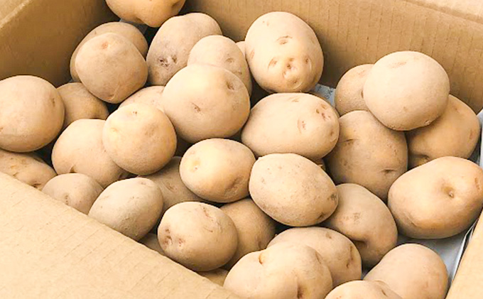 幻のじゃがいも　白土ばれいしょ