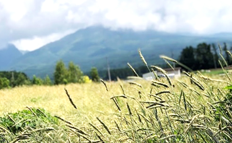 自家製酵母パンとライ麦パンのおまかせセット