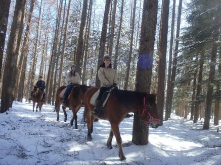 まきば軽井沢　ほっこり50分乗馬体験  1名様