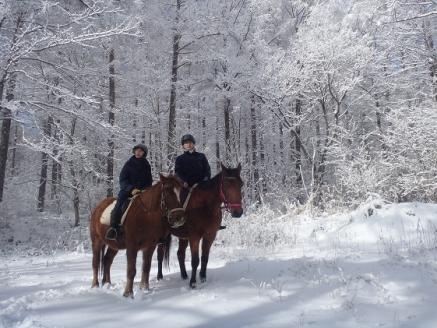 まきば軽井沢　まったり100分乗馬体験  1名様
