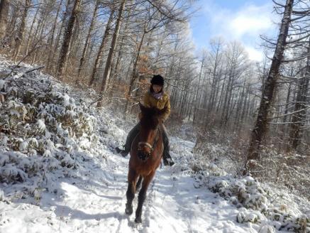 まきば軽井沢  どーんと150分乗馬体験  1名様