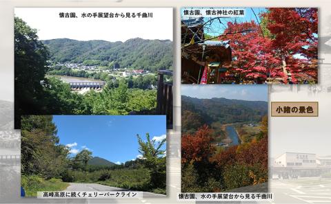 小山田いく先生クリアファイル２枚Ｂ