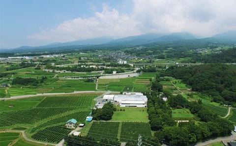 日本ワイン ソラリス 千曲川 シャルドネ 樽仕込 750ml×1本 ワイン 白ワイン マンズワイン 酒 お酒 洋酒 果実酒 ぶどう酒 長野 長野県小諸市